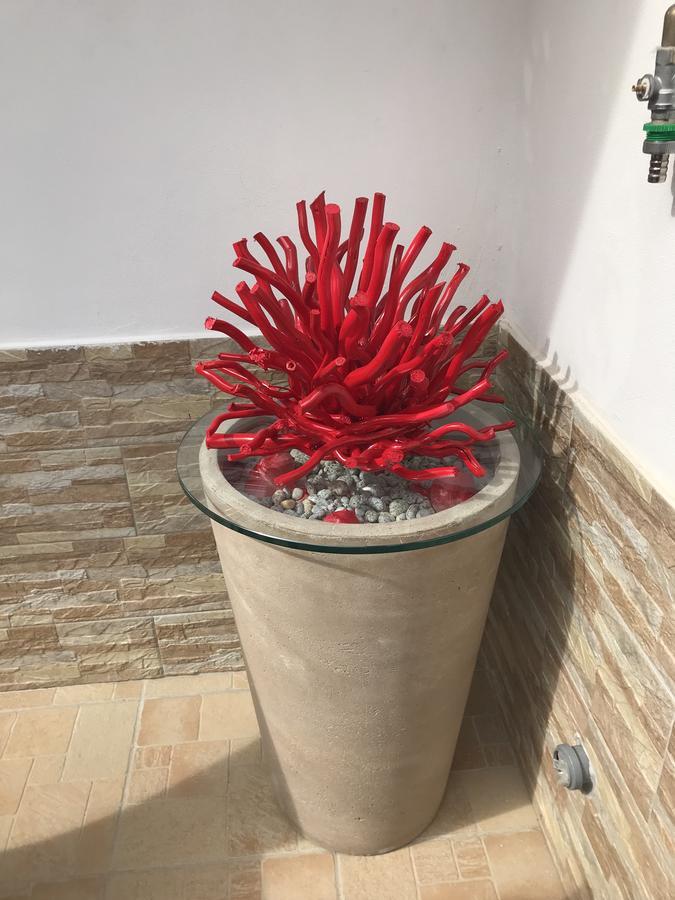 La Conchiglia Acomodação com café da manhã Tropea Exterior foto